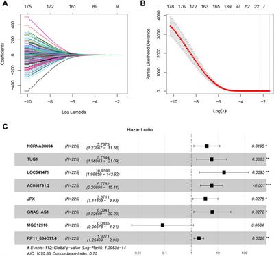 An innovative pyroptosis-related long-noncoding-RNA signature predicts the prognosis of gastric cancer via affecting immune cell infiltration landscape